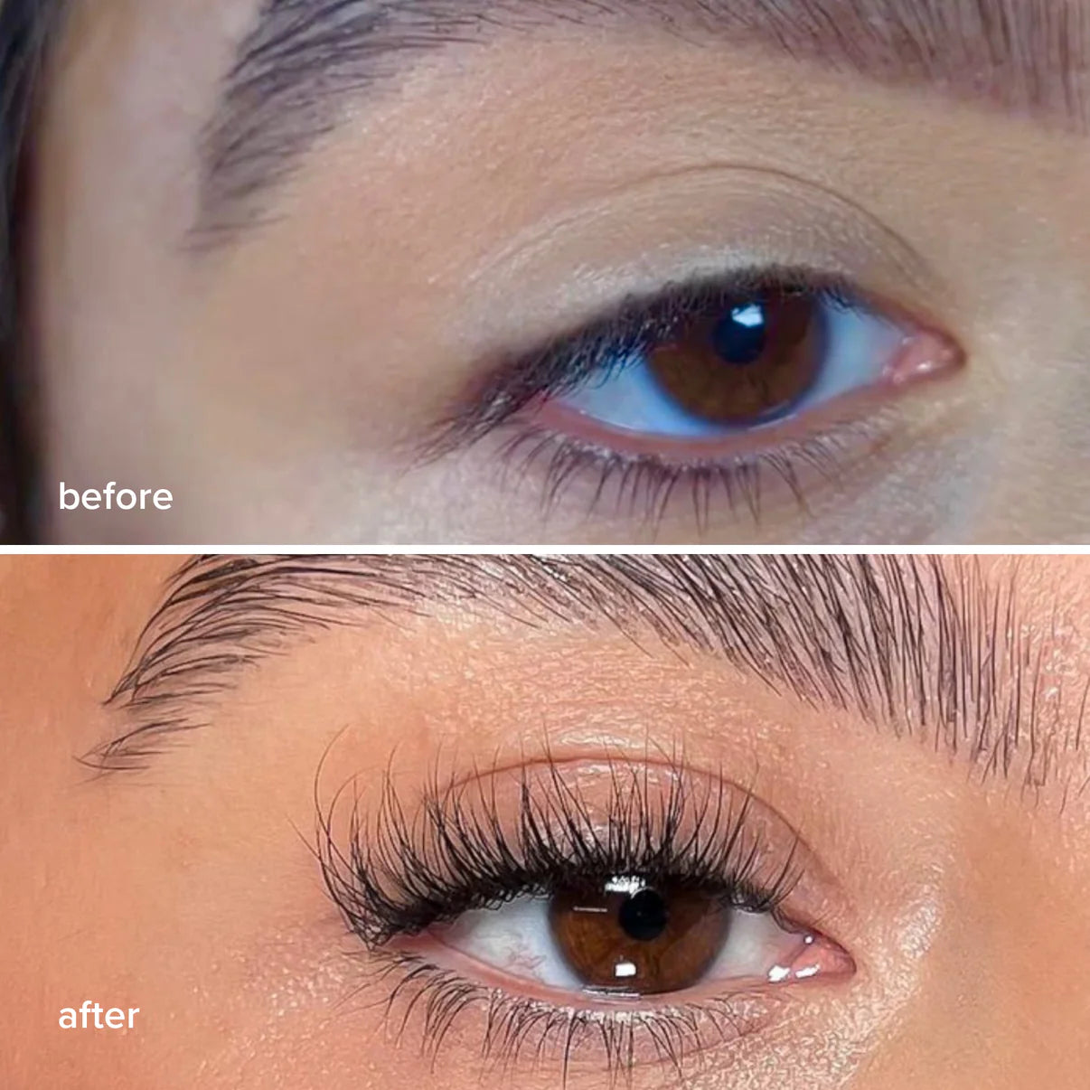 Brow Growth Serum